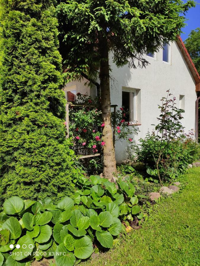 Chata Pod Różą Ledzin Exterior foto