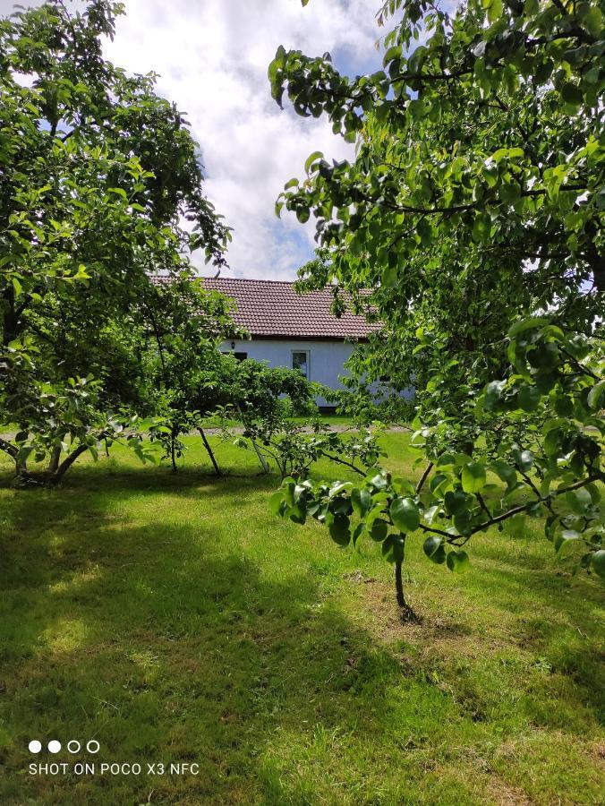 Chata Pod Różą Ledzin Exterior foto