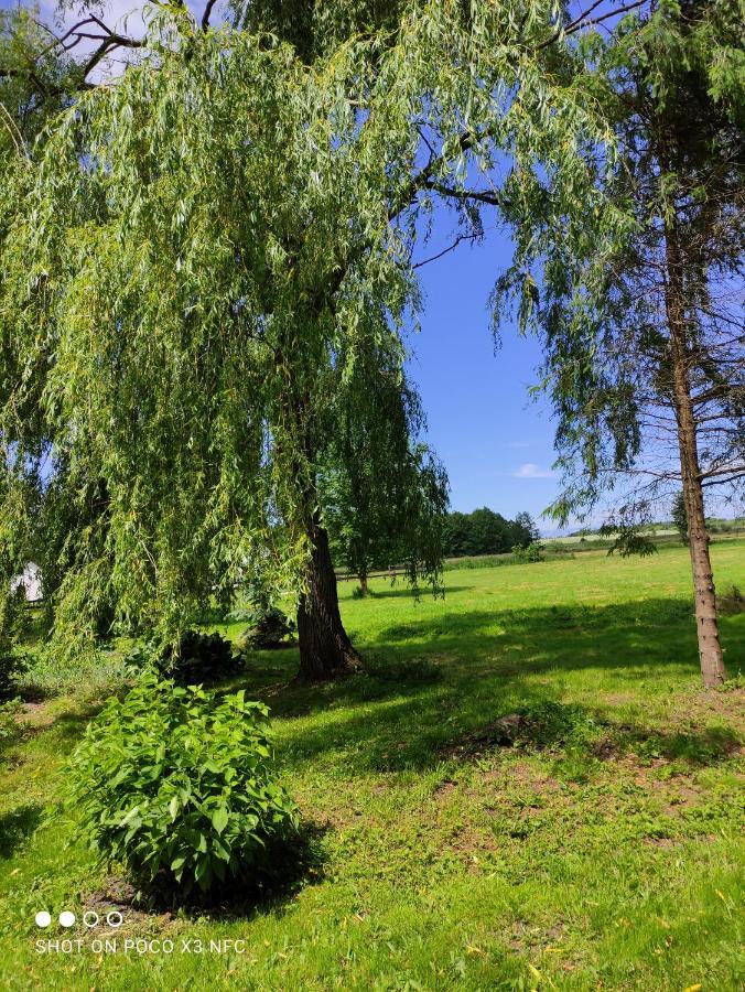 Chata Pod Różą Ledzin Exterior foto