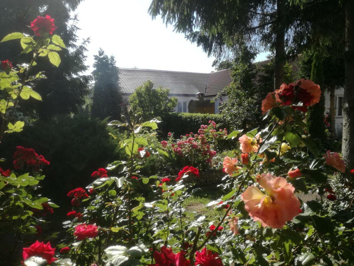 Chata Pod Różą Ledzin Exterior foto