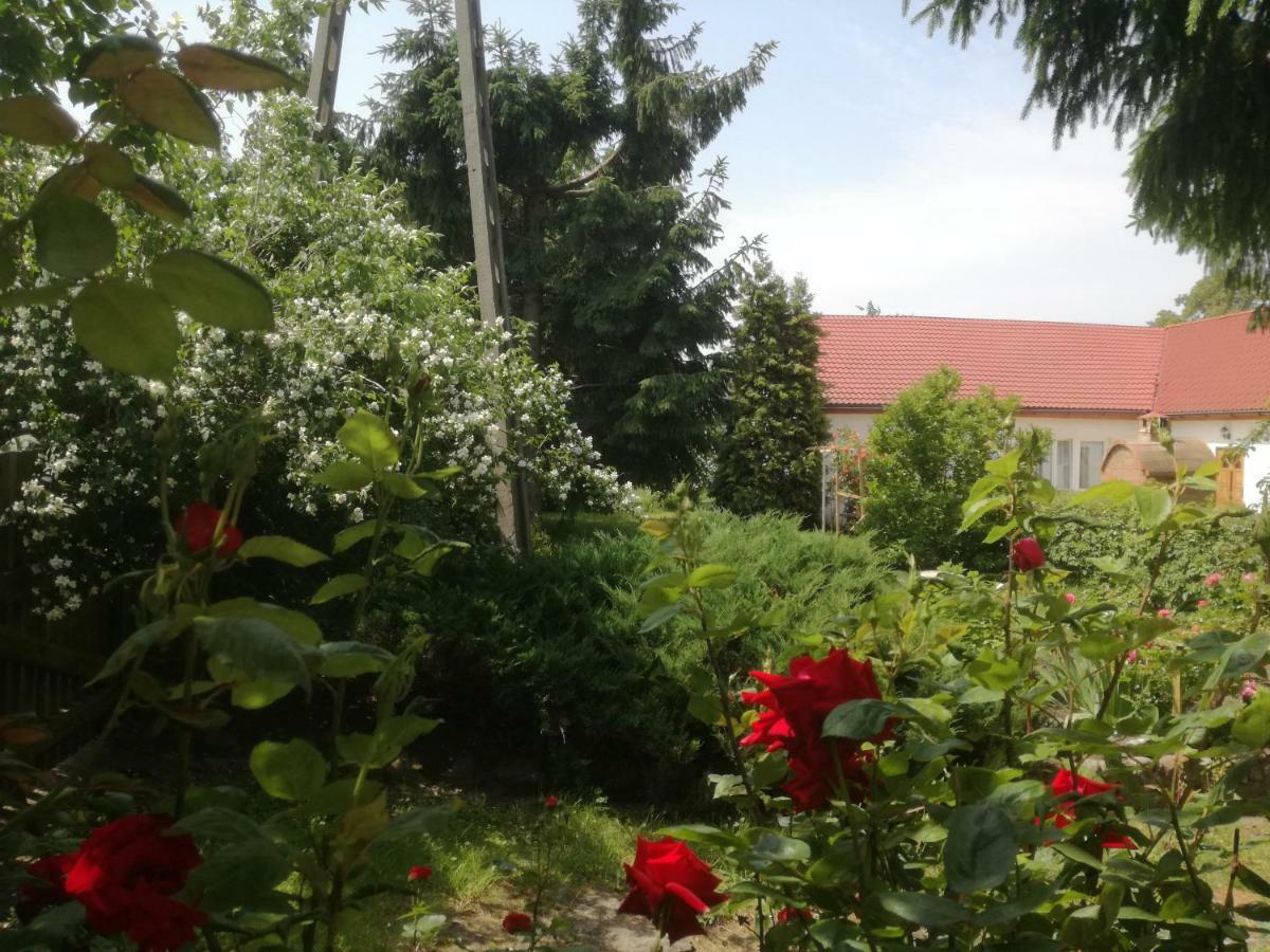 Chata Pod Różą Ledzin Exterior foto