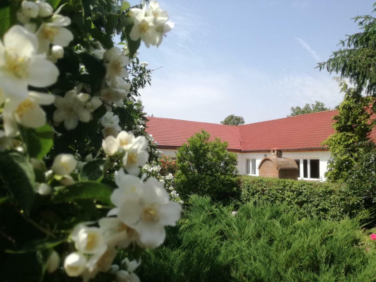 Chata Pod Różą Ledzin Exterior foto
